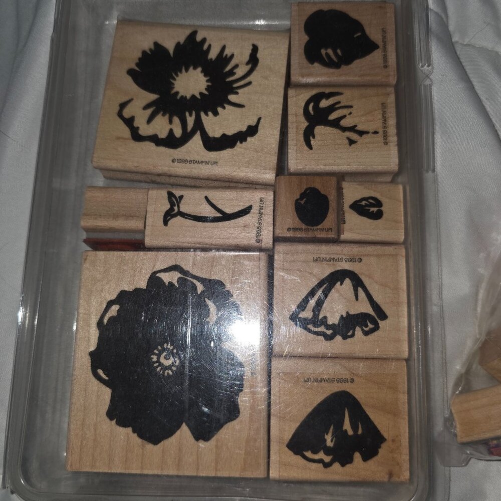 Stampin up collection